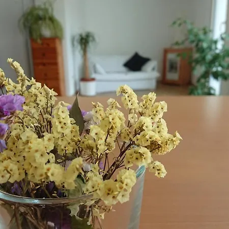 In Messenähe Apartment Hannover